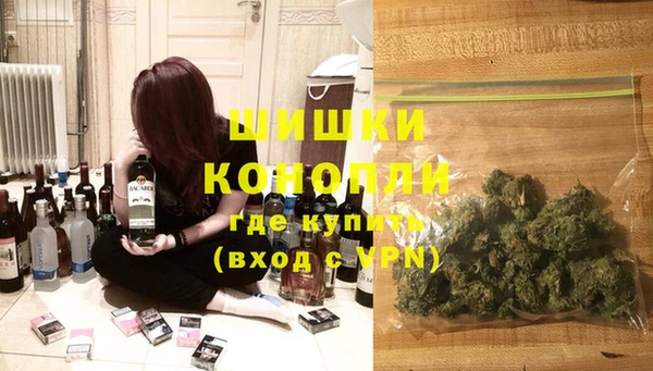 сатива Надым