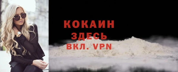 сатива Надым