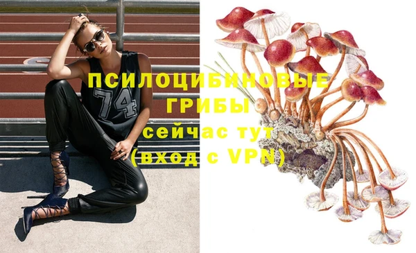 прущая мука Навашино