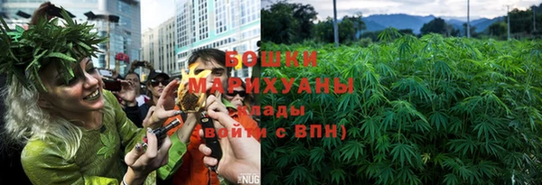 сатива Надым