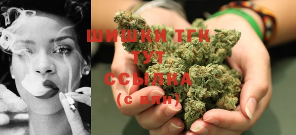 сатива Надым