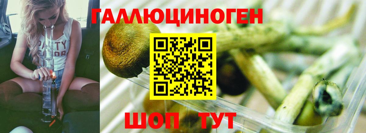 Галлюциногенные грибы прущие грибы  Псилоцибиновые грибы мухоморы  Вход с VPN  закладка  Кирово-Чепецк 